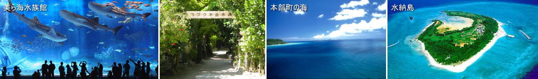 本部の海、美ら海水族館、備瀬のフクギ並木、水納島の写真